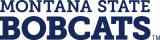 Montana State Bobcats 2013-Pres Wordmark Logo 02 decal sticker