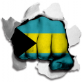 Fist Bahamas Flag Logo decal sticker