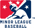 Minor League Baseball 2008-Pres Primary Logo decal sticker