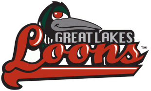 Great Lakes Loons 2007-2015 Primary Logo Sticker Heat Transfer