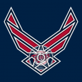 Airforce Minnesota Twins Logo Sticker Heat Transfer