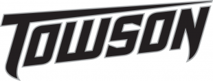 Towson Tigers 2004-Pres Wordmark Logo 01 decal sticker