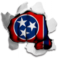 Fist Tennessee State Flag Logo Sticker Heat Transfer