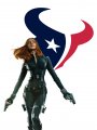 Houston Texans Black Widow Logo Sticker Heat Transfer