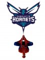 Charlotte Hornets Spider Man Logo Sticker Heat Transfer