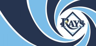 007 Tampa Bay Rays logo Sticker Heat Transfer