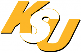 Kennesaw State Owls 2000-2011 Wordmark Logo 01 Sticker Heat Transfer