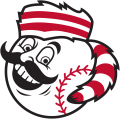 Greeneville Reds 2018-Pres Alternate Logo decal sticker