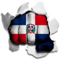 Fist Dominican Republic Flag Logo decal sticker