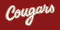 College of Charleston Cougars 2013-Pres Wordmark Logo 05 Sticker Heat Transfer
