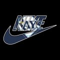 Tampa Bay Rays Nike logo decal sticker