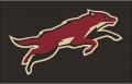 Arizona Coyotes 2008 09-2013 14 Jersey Logo Sticker Heat Transfer