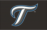 Toronto Blue Jays 2007-2011 Cap Logo Sticker Heat Transfer