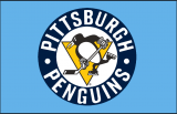 Pittsburgh Penguins 2008 09-2010 11 Jersey Logo decal sticker