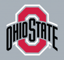Ohio State Buckeyes 2013-Pres Alternate Logo 02 Sticker Heat Transfer