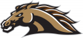 Western Michigan Broncos 1998-2015 Secondary Logo 01 Sticker Heat Transfer