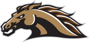 Western Michigan Broncos 1998-2015 Secondary Logo 01 decal sticker