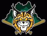Lynchburg Hillcats 1995-2016 Cap Logo decal sticker