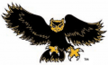Kennesaw State Owls 1992-2011 Alternate Logo 02 Sticker Heat Transfer