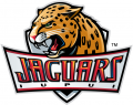 IUPUI Jaguars 2008-Pres Primary Logo decal sticker