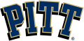 Pittsburgh Panthers 2005-2015 Primary Logo decal sticker