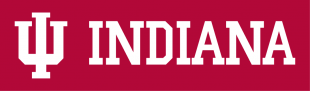 Indiana Hoosiers 2002-Pres Wordmark Logo 02 decal sticker