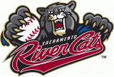 Sacramento River Cats 2007-Pres Primary Logo Sticker Heat Transfer