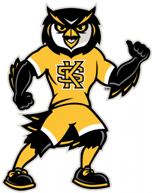 Kennesaw State Owls 2012-Pres Mascot Logo 02 decal sticker