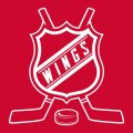 Hockey Detroit Red Wings Logo decal sticker