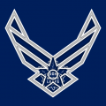 Airforce Toronto Maple Leafs Logo decal sticker