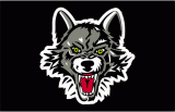 Chicago Wolves 2016-Pres Jersey Logo Sticker Heat Transfer