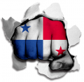 Fist Panama Flag Logo decal sticker
