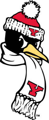 Youngstown State Penguins 1993-Pres Alternate Logo 02 Sticker Heat Transfer