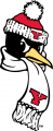 Youngstown State Penguins 1993-Pres Alternate Logo 02 decal sticker