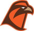 Bowling Green Falcons 2006-Pres Secondary Logo 03 decal sticker