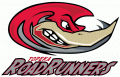 Topeka Roadrunners 2007 08-Pres Primary Logo decal sticker