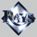 Tampa Bay Rays Stainless steel logo Sticker Heat Transfer