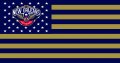 New Orleans Pelicans Flag001 logo decal sticker
