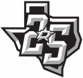 Dallas Stars 2016 17 Anniversary Logo Sticker Heat Transfer