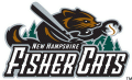 New Hampshire Fisher 2004-2007 Primary Logo decal sticker