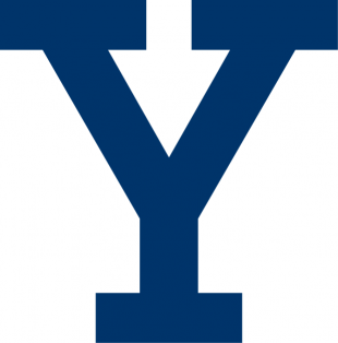 Yale Bulldogs 2000-Pres Alternate Logo decal sticker