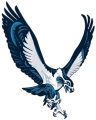 Seattle Seahawks 2002-2011 Alternate Logo decal sticker