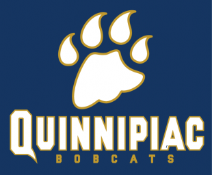 Quinnipiac Bobcats 2002-2018 Wordmark Logo Sticker Heat Transfer