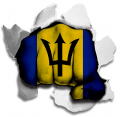 Fist Barbados Flag Logo decal sticker