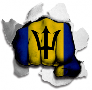 Fist Barbados Flag Logo Sticker Heat Transfer