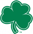 Notre Dame Fighting Irish 1994-Pres Alternate Logo 13 decal sticker
