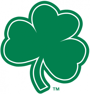 Notre Dame Fighting Irish 1994-Pres Alternate Logo 13 Sticker Heat Transfer