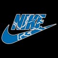 Detroit Lions Nike logo Sticker Heat Transfer