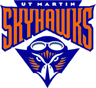 Tennessee-Martin Skyhawks 2003-2008 Primary Logo Sticker Heat Transfer