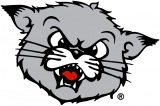 Cincinnati Bearcats 1990-2005 Alternate Logo 02 decal sticker